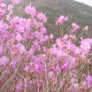 행복의 동산 이미지