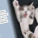 천사로목장 이미지