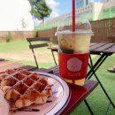 꼬리살랑 이미지