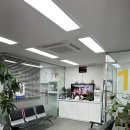 강남동물메디컬센터 | 강남 암컷 고양이 중성화 수술 대치동물메디컬센터 수술금액 수술후기