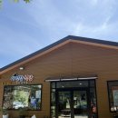 나리 야영장 옆 | 울릉도맛집 나리분지 맛집 ㅣ 야영장식당