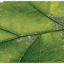 연소자연농장 이미지