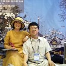 제31회 한국국제관광전(KOTFA) 후기