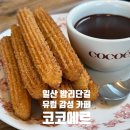 일산로380번길 | 일산 밤리단길 유럽 감성 카페 코코에르: 추로스와 스페인식 연유커피 후기