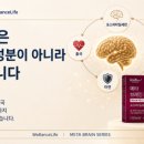 브레인국제특허