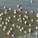 통영어민회센타빌딩 | 2월일상 | 까치까치 설날은🎶