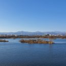 장가네더덕밥 이미지