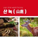 헬리오경희한의원 이미지