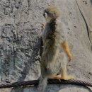 서울대공원 이미지