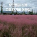 장기리마을회관 | [대가야어북실] 대구 근교 경북 고령 핑크뮬리 숨은 명소 스팟