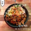 한라맥주 구리돌다리점 | 구리 애견동반 술집 분위기 좋은 한라맥주 구리돌다리점