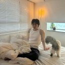 쿤스트 이미지