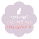 강릉 라카이 샌드파인리조트 후기 (객실, 수영장, 사우나, 조식 등등)