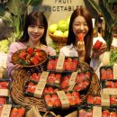 킹스베리 이미지