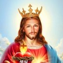 선택받은 영혼들의 모반 이미지