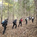 11월 숲기행 후기 - 무등산 규봉암으로 다녀 온 가을소풍 이미지