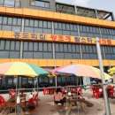 홍도해물 이미지