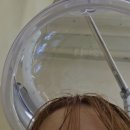 정환헤어샵 | 성신여대미용실 위아르보 두피클리닉 여름철 머리 관리