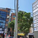 잇다공인중개사사무소 이미지