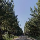 안목26펜션 이미지