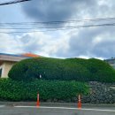 표선리-24 이미지