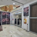 2025년 4월 상반기 보틀벙커 블랙 벙커 데이 할인 행사 가성비 레드 화이트 와인 추천