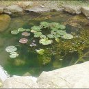 더불어사는 자연 2 이미지