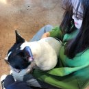 냉천오리농장 | [2020.02.21] 진해 애견카페 러브앤독