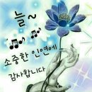 나그네실비 Daum카페