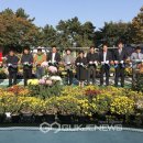 동삼3동-1 이미지