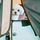 땡큐LPG충전소 | [16th]강화 노을캠핑장 캠핑 후기