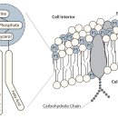 교대약국 이미지