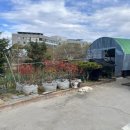 산들민박 이미지