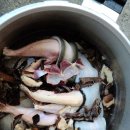 청정장어 이미지