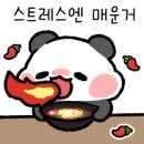 브리즈번 101 이미지