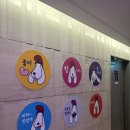 하이원리조트힐콘도T동놀이터 | 하이원 리조트 힐콘도 힐펫룸 후기