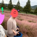 공수체육공원 화장실 | [합천 가을 여행] 신소양체육공원 핑크뮬리 인생샷 명소 리얼 후기