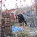 01-37 동구 이미지