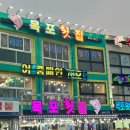 녹동 | 고흥 녹동 회 맛집 + 드론 후기