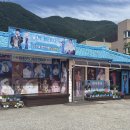 아리랑~ 아리랑~ 정선 여행중.... 행운이 ! 이미지