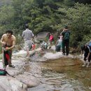 윤씨농장 이미지