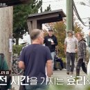 체크인독 네이버블로그