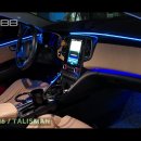 인코브(INCOBB KOREA) 르노삼성 SM6(RENAULT SM6 / TALISMAN) 인코브 순정형 엠비언트 라이트 버전5 이미지