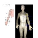 12경맥 유주-(9) 수궐음심포경 이미지