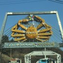 4678 | [영덕] 착한대게 | 영덕 대게 맛집 대게 코스 요리 솔직후기