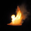 미소화원 이미지