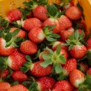 월롱농장 이미지