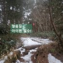 (주)제주크린 | 12월 제주도 한라산 탐방예약 한라산 등산 코스 한라산 설산 관음사 코스 주차 정보 꿀팁 주의 사항
