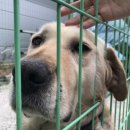 강민축산 | [약대생 일상]4/28~29 첫 약대 동기 엠티 후기 (피구, 게임, 바베큐, 폰꾸, 보드게임)