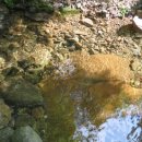 금당목욕탕 이미지